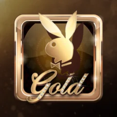 Playboy Gold - CSPLAY168