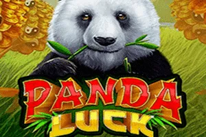 Panda Luck - CSPLAY168