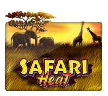 Joker123 : Safari Heat - CSPLAY168