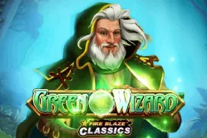 Fire Blaze: Green Wizard - CSPLAY168