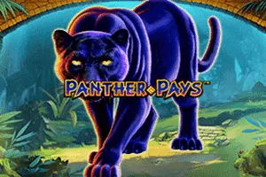 Panther Pays - CSPLAY168