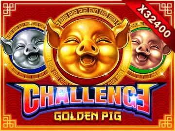 PLAYSTAR : FEATURE BUY・GOLDEN PIG - CSPLAY168