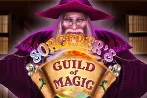 Sorcerers Guild of Magic - CSPLAY168