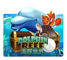 Joker123 : Dolphin Reef - CSPLAY168