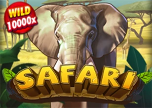 AFB : Safari - CSPLAY168