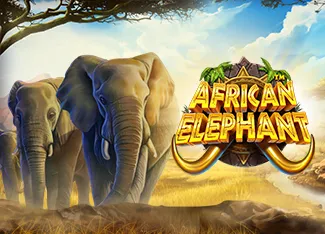 Pragmatic : African Elephant - CSPLAY168